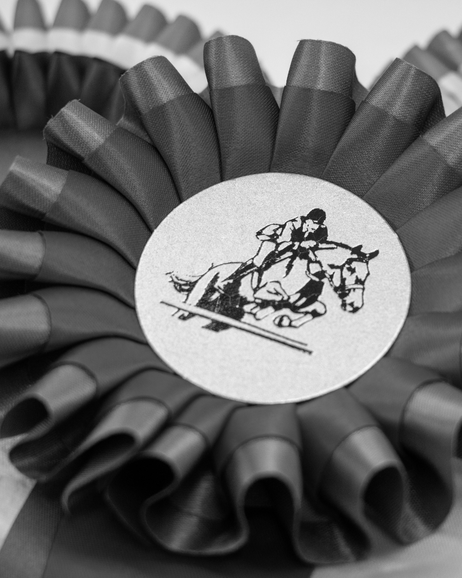 Servizi Premiazioni Sportive